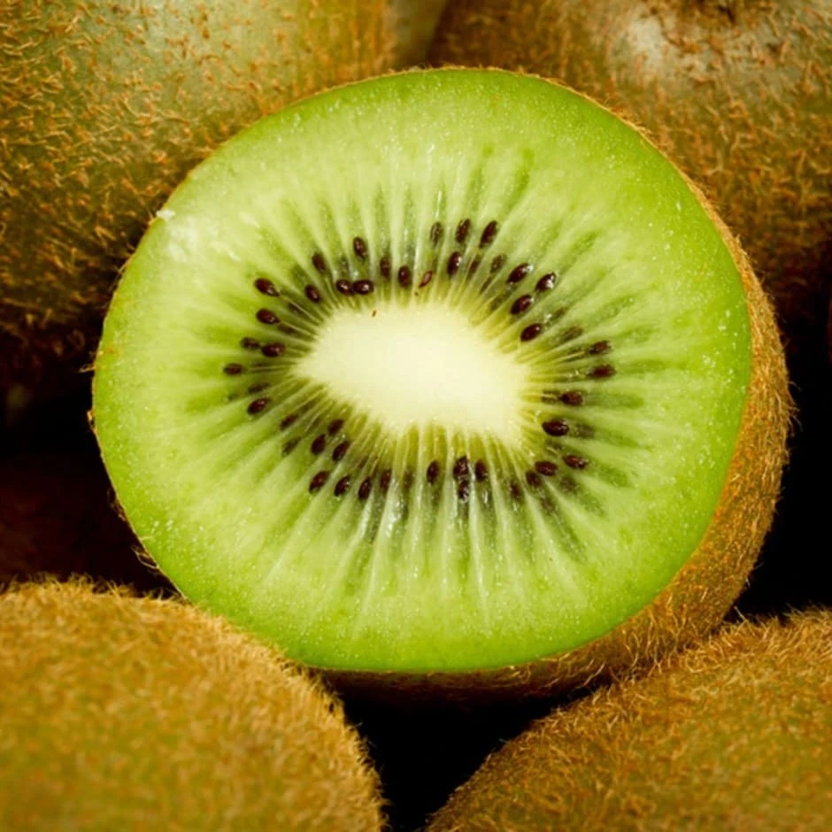 Kiwi Fruit 'Jenny' 1 Kiwi Fruit 'Jenny'