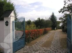 Pyracantha Saphyr Orange ('Cadange') 7 Pyracantha Saphyr Orange ('Cadange') -Plants Shop pl0000001709 card4 lg