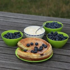 Blueberry 'Bluecrop' 15 Blueberry 'Bluecrop' -Plants Shop pl0000001890 card8 lg