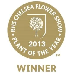 Mahonia Eurybracteata Subsp. Ganpinensis 'Soft Caress' (PBR) 9 Mahonia Eurybracteata Subsp. Ganpinensis 'Soft Caress' (PBR) -Plants Shop pl2000020849 card3 lg