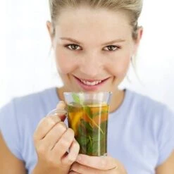 Tea Plant -Plants Shop pl2000021386 card5 lg