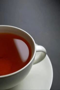 Tea Plant -Plants Shop pl2000021386 card6 lg