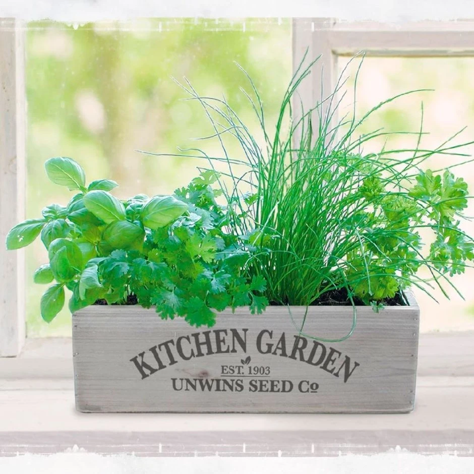 Kitchen Herb Garden Kit 1 Kitchen Herb Garden Kit