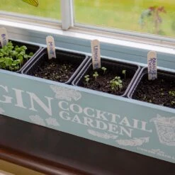 Gin Cocktail Herb Garden Kit -Plants Shop pl2000023959 card3 lg