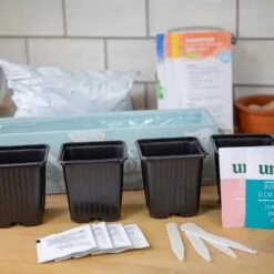 Gin Cocktail Herb Garden Kit -Plants Shop pl2000023959 card4 lg