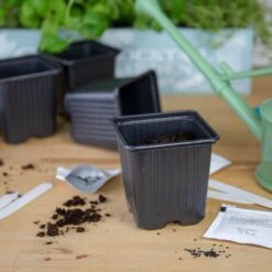 Gin Cocktail Herb Garden Kit -Plants Shop pl2000023959 card5 lg