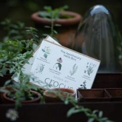 Apothecary Herbs Seed Gift Box -Plants Shop pl2000024987 card3 lg