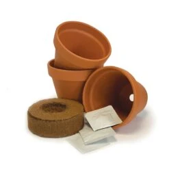Chilli Starter Kit -Plants Shop pl2000025461 card3 lg