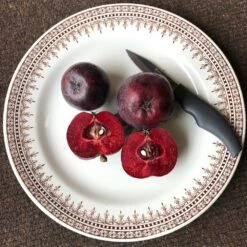 Malus 'Roberts Crab' 7 Malus 'Roberts Crab' -Plants Shop pl2000027194 card4 lg