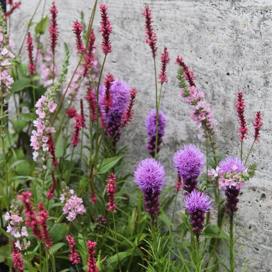 Moisture Plant Combination 1 Moisture Plant Combination