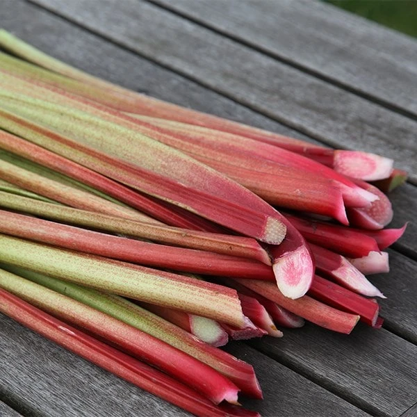 Rhubarb 'Timperley Early' 2 Rhubarb 'Timperley Early' - Image 2