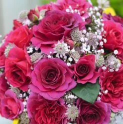 Rosa Timeless Purple ('Noa38121') (PBR) 6 Rosa Timeless Purple ('Noa38121') (PBR) -Plants Shop pl2000036975 card3 lg