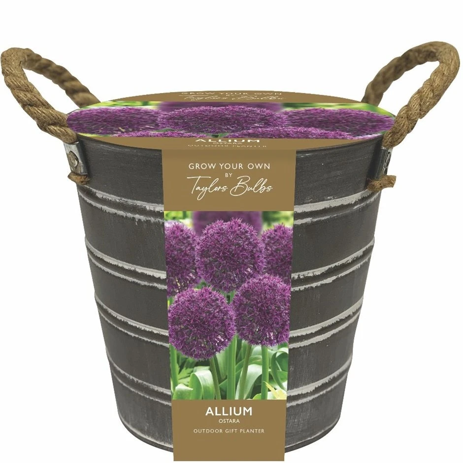 Outdoor Metal Allium Bucket 1 Outdoor Metal Allium Bucket