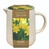 Indoor Ceramic Narcissi Jug