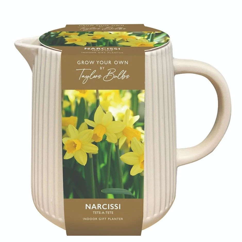 Indoor Ceramic Narcissi Jug 1 Indoor Ceramic Narcissi Jug