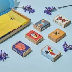 Seedballs Wildlife Collection 9 Seedballs Wildlife Collection -Plants Shop pl2000043179 card4 lg