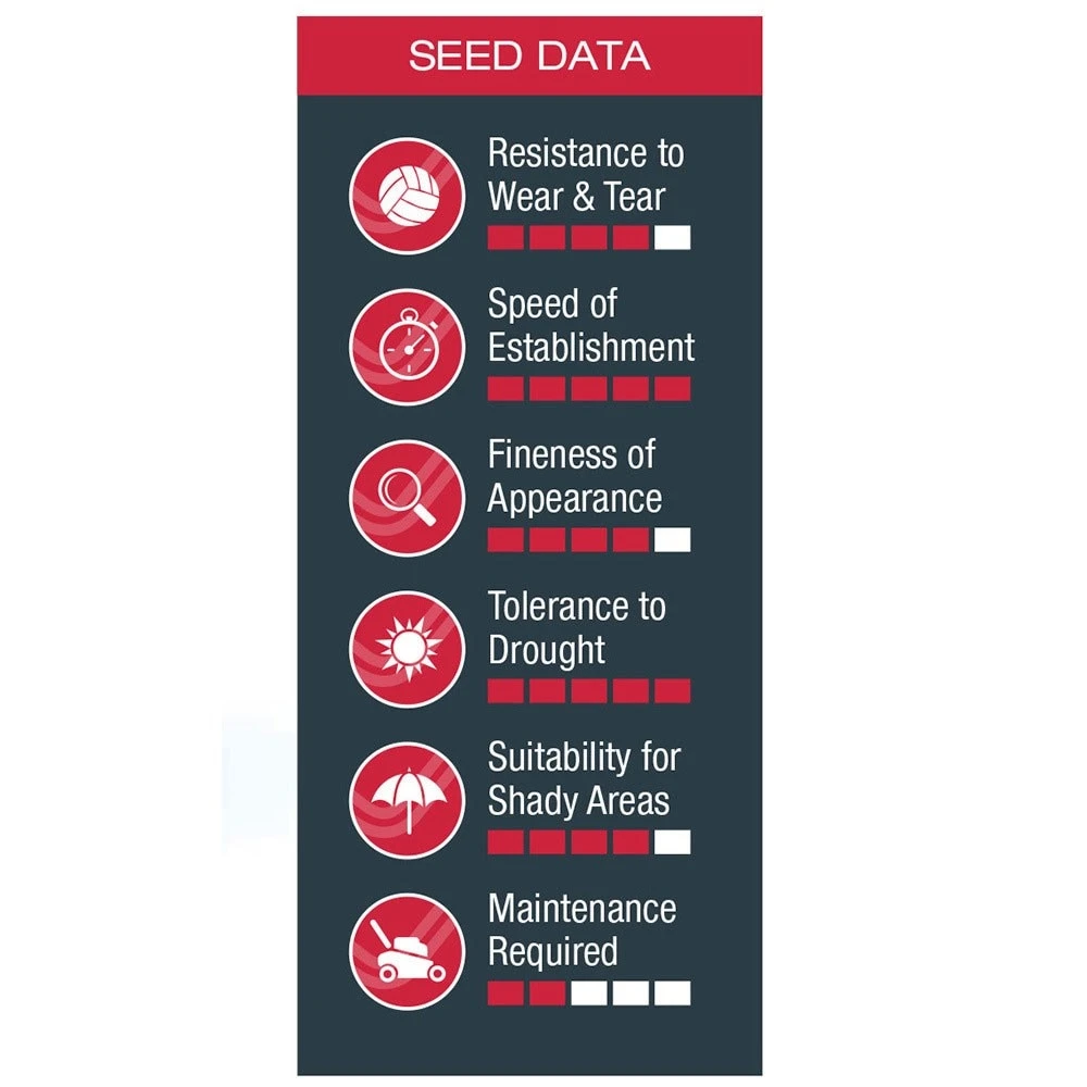 Johnsons Quick Lawn Seed 2 Johnsons Quick Lawn Seed - Image 2