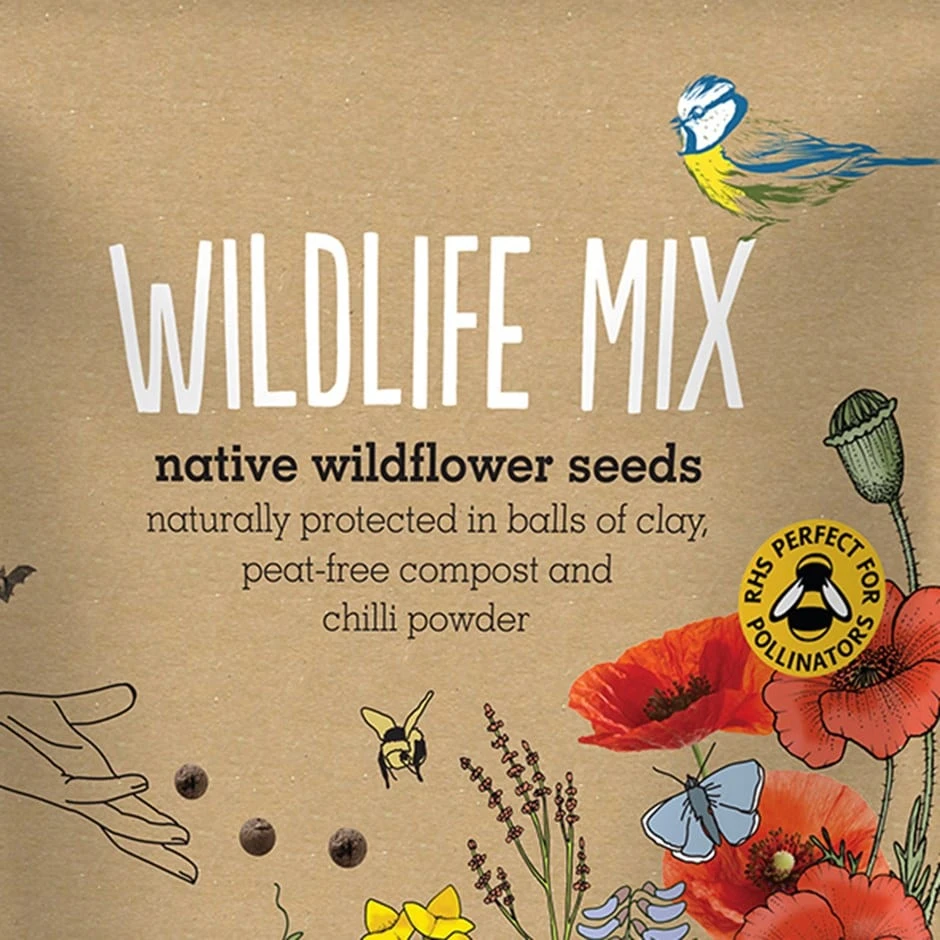 Seedballs Native Wildflowers For Wildlife 1 Seedballs Native Wildflowers For Wildlife
