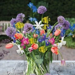 Cutflowers - Spring Flowering 'bulb Collection'