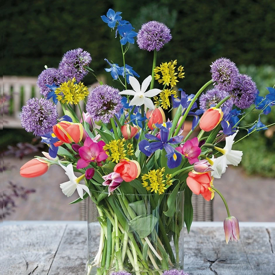 Cutflowers - Spring Flowering 'bulb Collection' 1 Cutflowers - Spring Flowering 'bulb Collection'