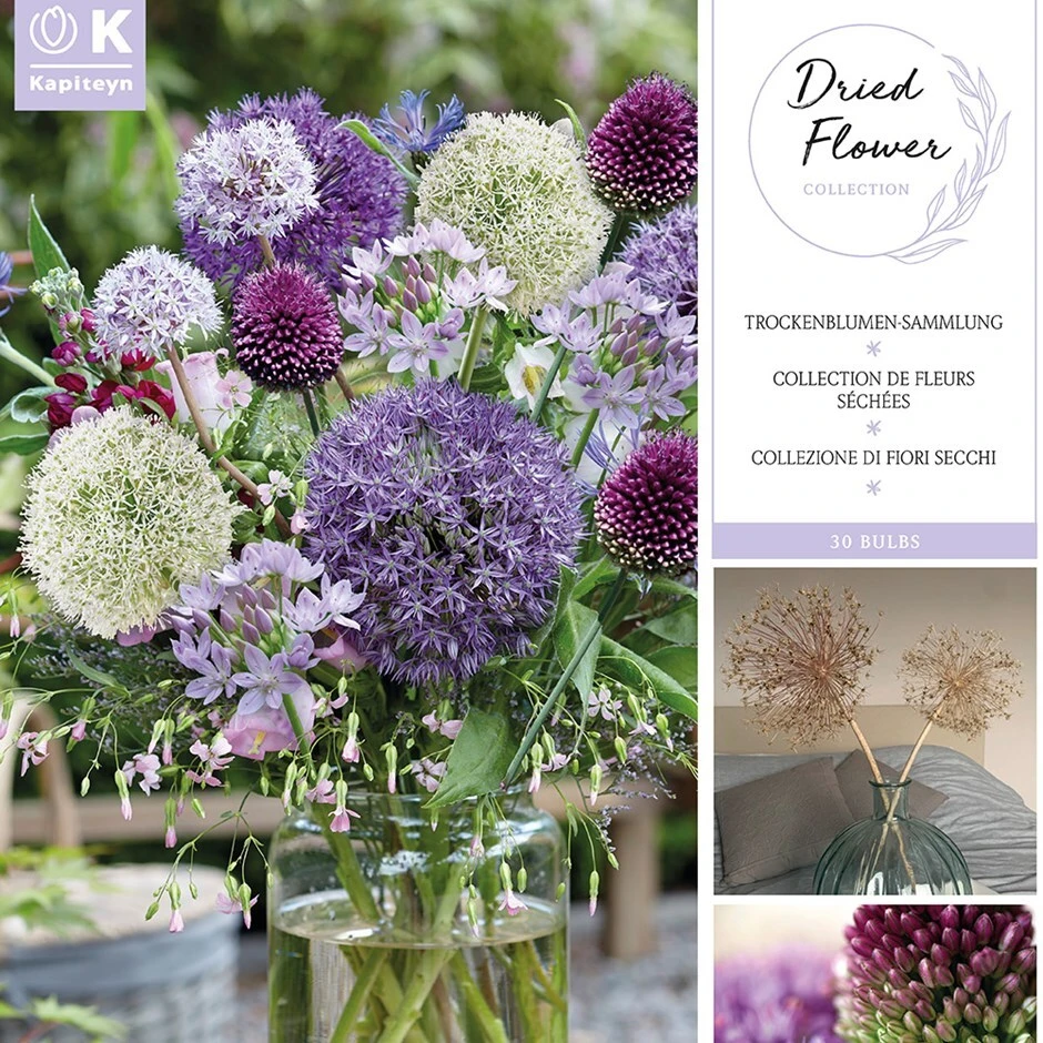 Dried Flowers - Spring 'flowering Bulb Collection' 1 Dried Flowers - Spring 'flowering Bulb Collection'