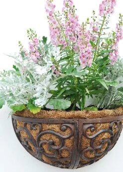 Cast Iron Wall Manger 5 Cast Iron Wall Manger -Plants Shop pr2000004969 card3 lg