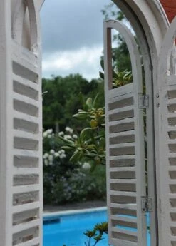 Garden Wall Mirror With Shutters -Plants Shop pr2000005168 card3 lg