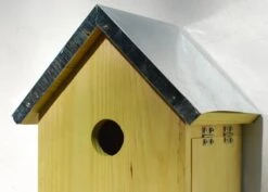 Sparrow Flats -Plants Shop pr2000005252 card4 lg