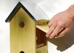 Sparrow Flats -Plants Shop pr2000005252 card5 lg