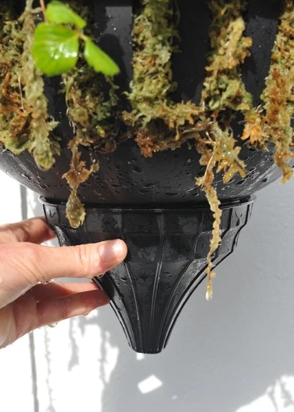 Pair Of Self-watering Hanging Baskets 3 Pair Of Self-watering Hanging Baskets - Image 3