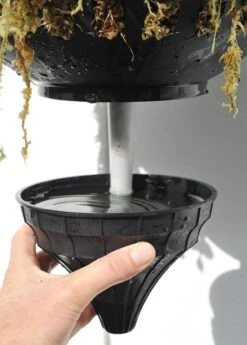 Pair Of Self-watering Hanging Baskets 7 Pair Of Self-watering Hanging Baskets -Plants Shop pr2000006136 card4 lg