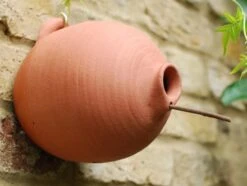 Blue Tit Terracotta Bird Pot -Plants Shop pr2000007298 card3 lg