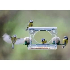 Complete Window Feeder For Birds