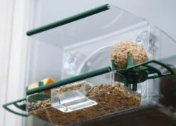 Complete Window Feeder For Birds 7 Complete Window Feeder For Birds -Plants Shop pr2000008345 card4 lg