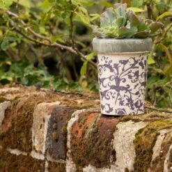 Aged Ceramic Long Tom Pot -Plants Shop pr2000008818 card3 lg