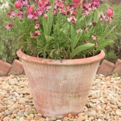 Lucca Terracotta Pot 10 Lucca Terracotta Pot -Plants Shop pr2000012805 card3 lg
