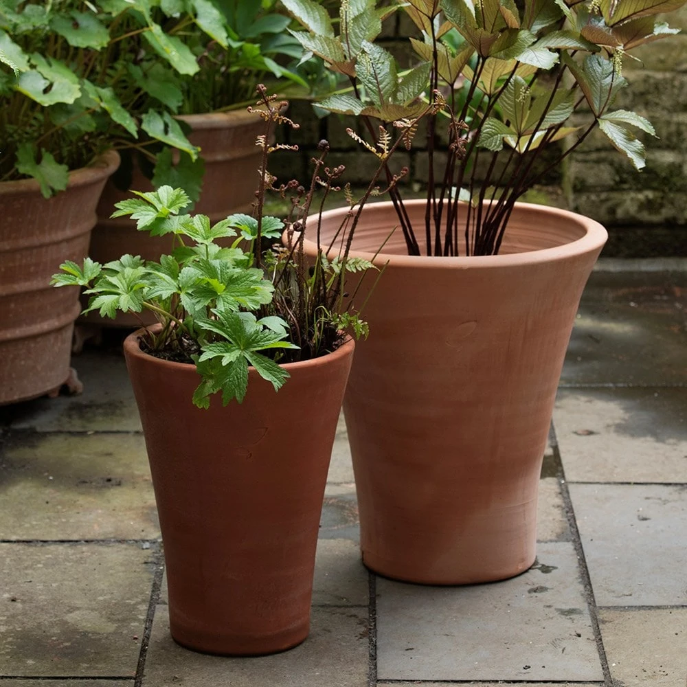 Empoli Terracotta Lily Pot 2 Empoli Terracotta Lily Pot - Image 2