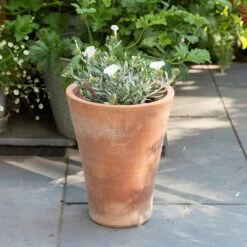 Empoli Terracotta Lily Pot 15 Empoli Terracotta Lily Pot -Plants Shop pr2000012808 card8 lg