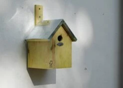 Blue Tit Nesting Box 6 Blue Tit Nesting Box -Plants Shop pr2000013164 card3 lg