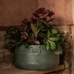 Verdigris Plant Bowl/drink Bucket 10 Verdigris Plant Bowl/drink Bucket -Plants Shop pr2000016191 card4 lg