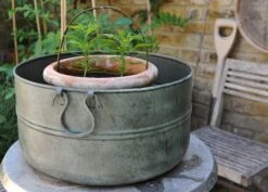 Verdigris Plant Bowl/drink Bucket 13 Verdigris Plant Bowl/drink Bucket -Plants Shop pr2000016191 card7 lg