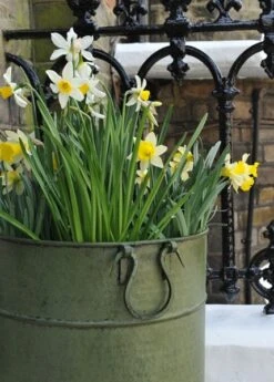 Verdigris Tall Metal Planter 7 Verdigris Tall Metal Planter -Plants Shop pr2000016192 card3 lg