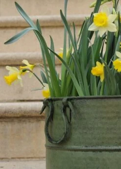 Verdigris Tall Metal Planter 8 Verdigris Tall Metal Planter -Plants Shop pr2000016192 card4 lg