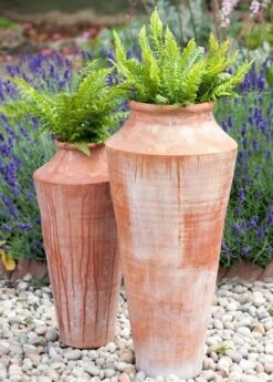Terracotta Oil Pot -Plants Shop pr2000016940 card5 lg