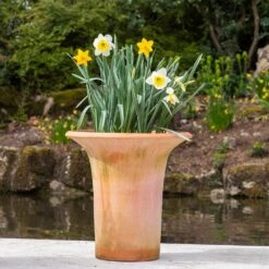Terracotta Flared Rim Pot 17 Terracotta Flared Rim Pot -Plants Shop pr2000017350 card9 lg