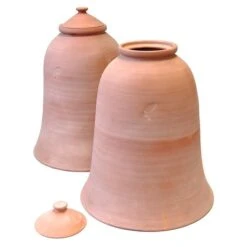 Terracotta Rhubarb Forcer -Plants Shop pr2000017359 card3 lg