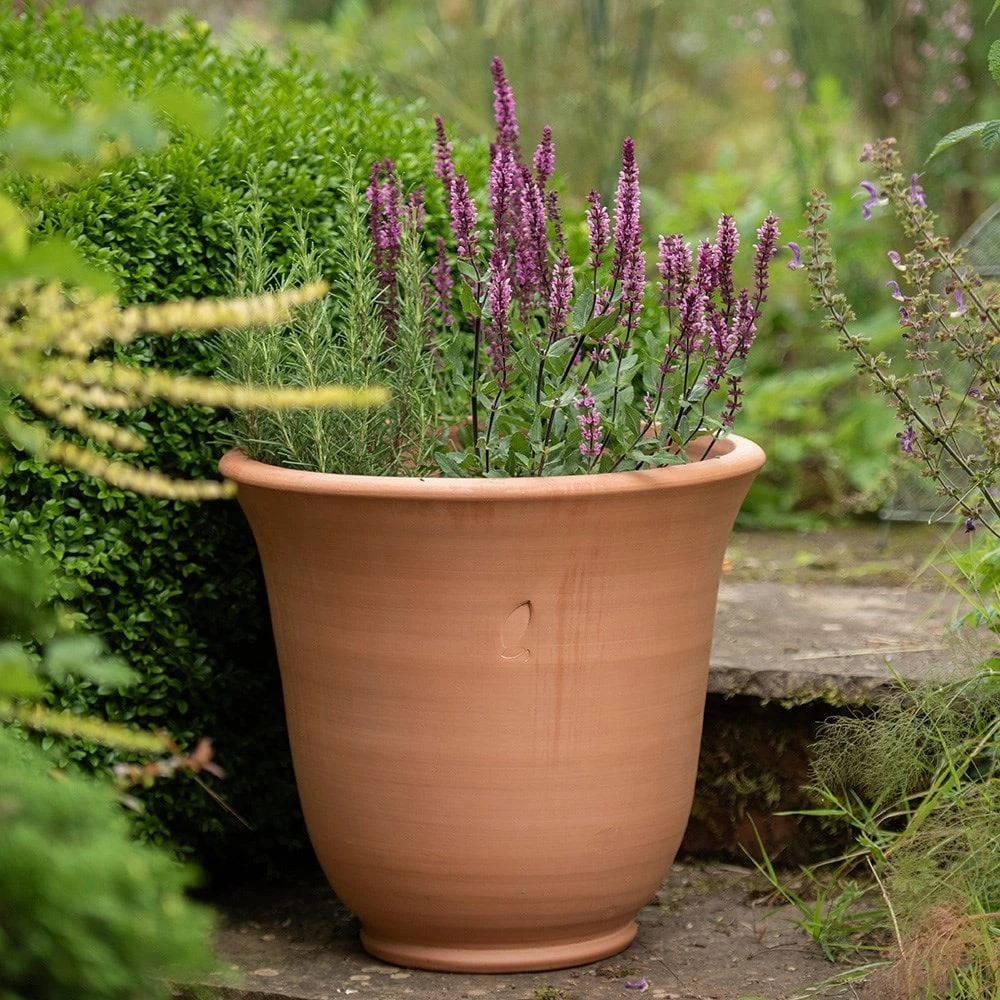 Terracotta Perennial Bell Pot 3 Terracotta Perennial Bell Pot - Image 3