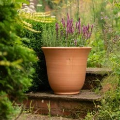 Terracotta Perennial Bell Pot 9 Terracotta Perennial Bell Pot -Plants Shop pr2000017362 card4 lg