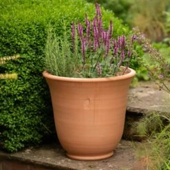 Terracotta Perennial Bell Pot 10 Terracotta Perennial Bell Pot -Plants Shop pr2000017362 card5 lg