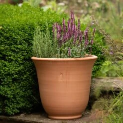 Terracotta Perennial Bell Pot 11 Terracotta Perennial Bell Pot -Plants Shop pr2000017362 card6 lg